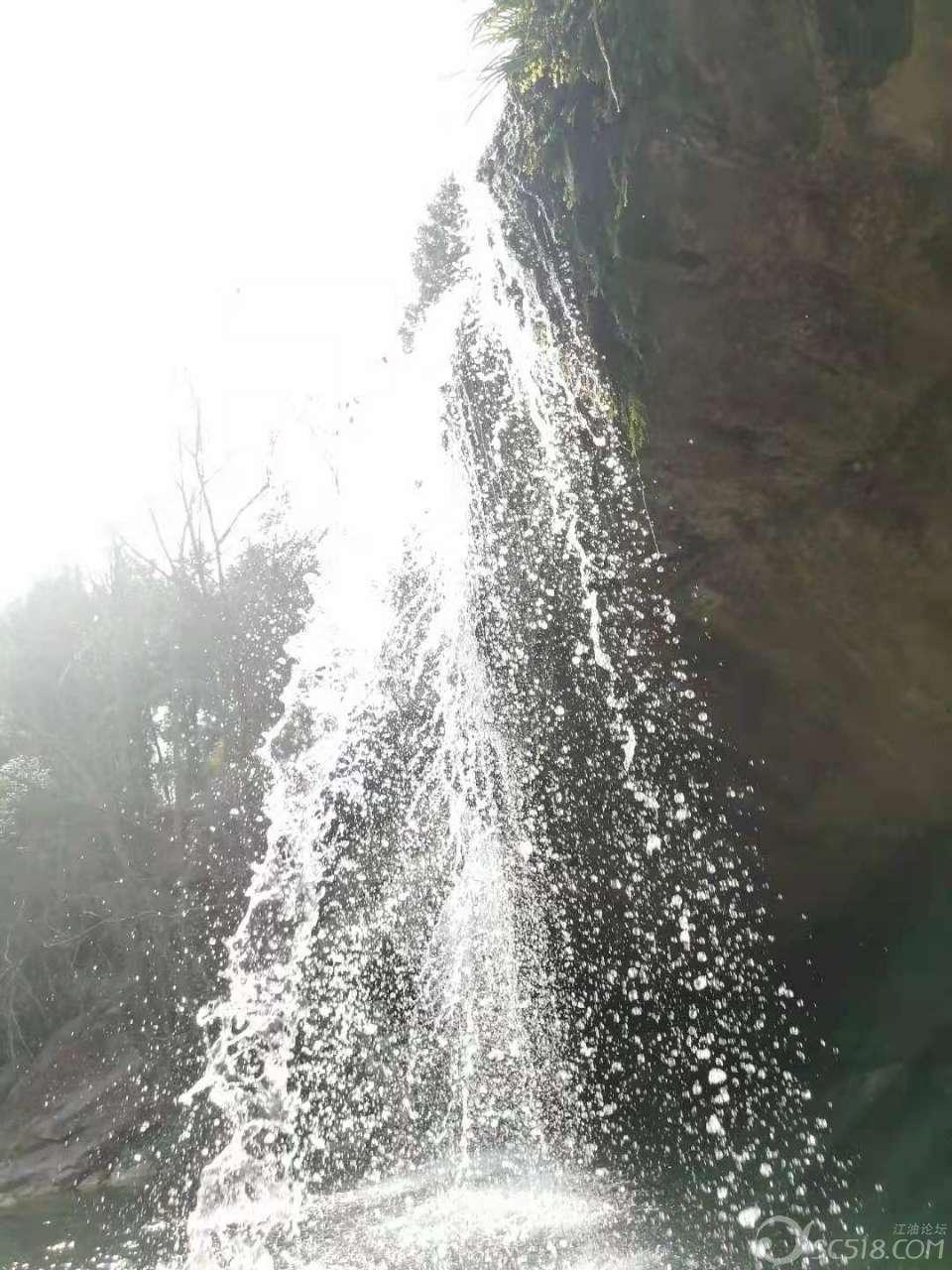森系丛林